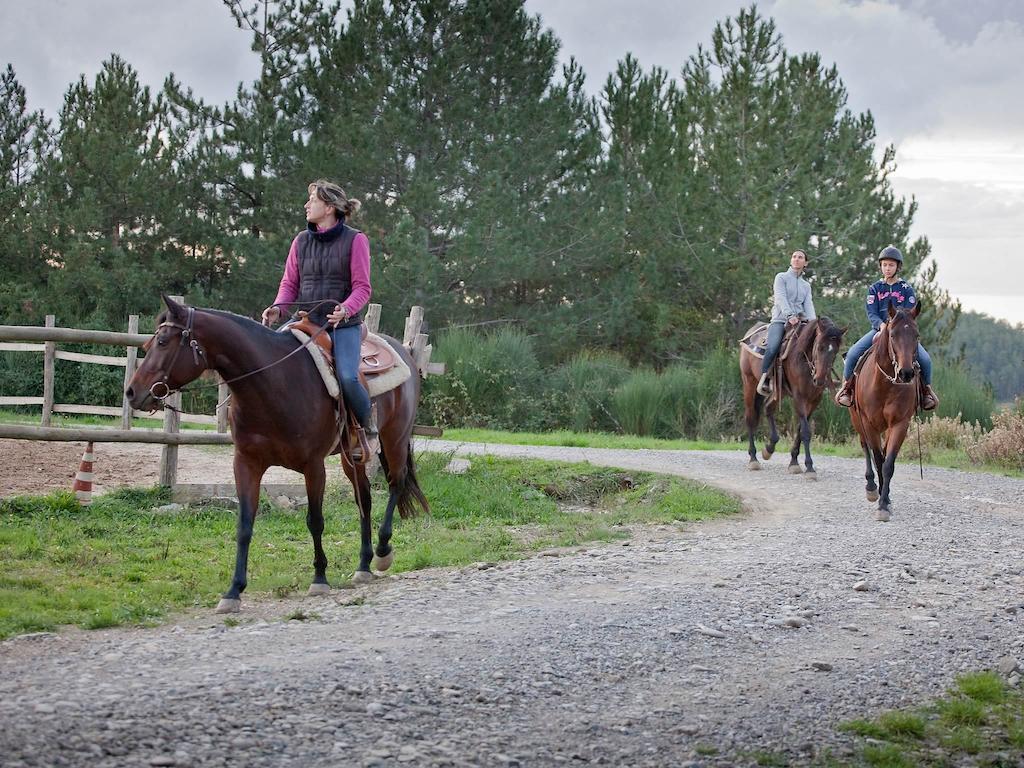 Tenuta La Silva Seggiano Εξωτερικό φωτογραφία