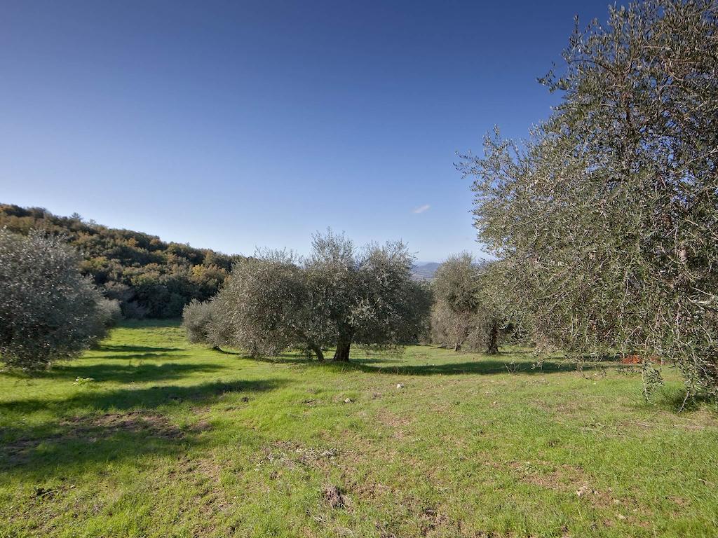 Tenuta La Silva Seggiano Εξωτερικό φωτογραφία