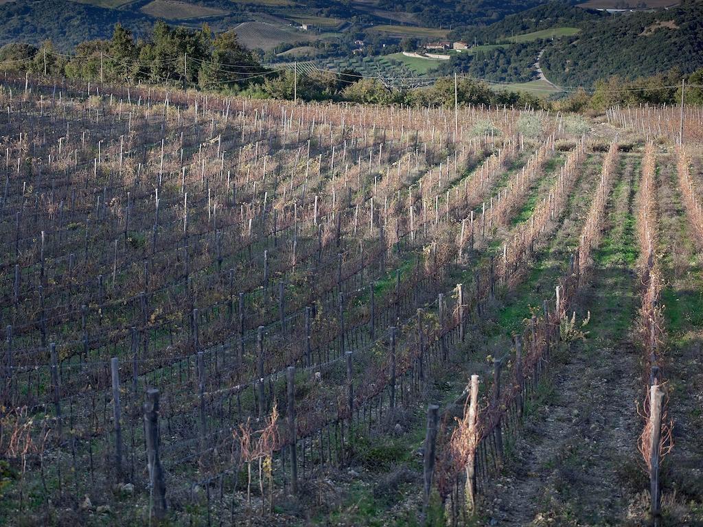 Tenuta La Silva Seggiano Εξωτερικό φωτογραφία